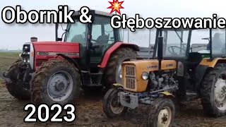 💪Obornik \u0026 Głęboszowanie 2023 w G.R.H. Jędrzejczak👍Massey Ferguson \u0026 Nowe Nabytki w Akcji🔥