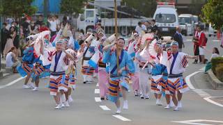 阿波踊り飛舞枝／第１演舞場／第4回 大江戸新座祭り2018