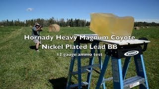 Ammo Test! 12 Gauge BB - Hornady 3\