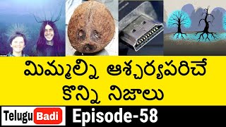 Top 15 Interesting Facts in Telugu | Unknown and Amazing Facts Episode 58 | Telugu Badi Facts