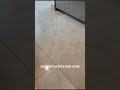 crema marfil marble floors u0026 countertop diamond polishing process by silver state floor restoration