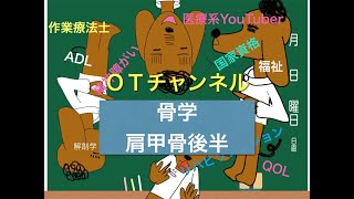 骨学（肩甲骨・後半）9時間目「作業療法士（OT）の為の国家試験対策」