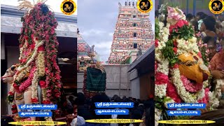 எடப்பாடி ஸ்ரீ நஞ்சுண்டேஸ்வரர் பவனி பிரதோஷ பூஜை| Eadapadi |Sivan Status|Shivan |Seval Muttai