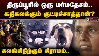 திருப்பூரில் ஒரு மர்மதேசம்.. கதிகலக்கும் குட்டிச்சாத்தான்? கலங்கிநிற்கும் கிராமம்.. | Tirupur | PTD