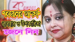 বেগুনের কিছু আশ্চর্য ব্যবহার ও উপকারিতা জেনে নিন।