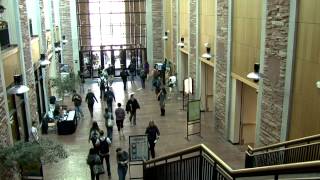 CU-Boulder Alumni Profile: Judd Rogers