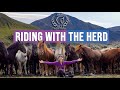 Riding With the Herd: Iceland On Horseback (AWARD WINNING)