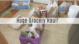 HUGE GROCERY HAUL FROM COSTCO AND WALMART // STOCKING UP ON FOOD