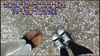 vlog. 벚꽃 덜떨어졌네 (ft . 샤슐랭 인블유)