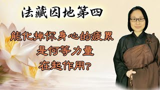 法藏因地第四 第34集：能化掉你身心的疲累  是何等力量在起作用？