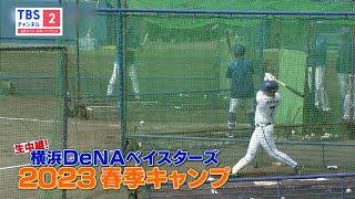 球春到来！2023年も生中継！横浜DeNAベイスターズ春季キャンプ／紅白戦や練習試合もお届け！＜ネットで同時配信も視聴可能＞