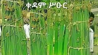 #እንካዐ አብፀሐና ንክብሪ# ባዓል ቀዳም ስዑር በሰላም በፀሐና የበፀሐኩም ናብ ትንሳኤ