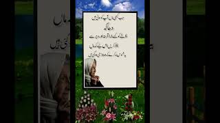 #best aqwale zareen|| urdu quotes|| urdu aqwal|| motivational quotes|| golden word....