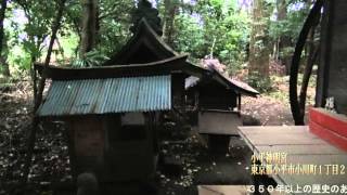 小平神明宮　摂社　稲荷神社　後半昔の社　東京都小平市小川町１丁目２５７３