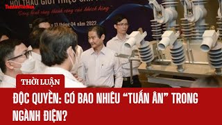 ĐỘC QUYỀN: CÓ BAO NHIÊU “TUẤN ÂN” TRONG NGÀNH ĐIỆN?