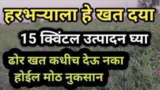 हरभरा पिकाला ढोर खत देऊ नका फक्त हे खत दया आणि एकरी 15 क्विंटल उत्पादन घ्या🙏🙏