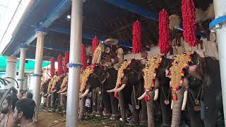 പതികാലം - പഞ്ചാരി മേളം - തൃപ്പൂണിത്തുറ ഉത്സവം - പെരുവനം സതീശൻ മാരാർ