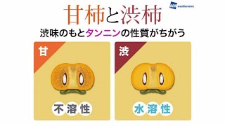 柿がおいしい季節  甘柿と渋柿の違いは？