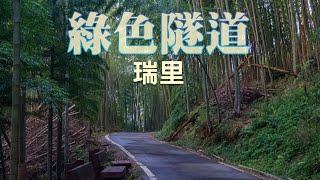 瑞里綠色隧道｜瑞里小鎮逛一圈《行車紀錄1.3倍率》