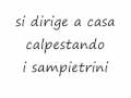 poesia 