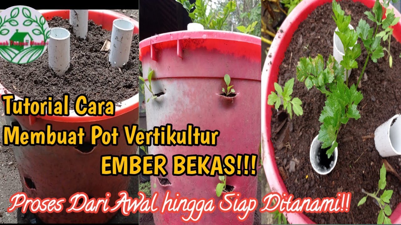 Tutorial Cara Membuat Pot Vertikultur Ember Bekas!!! - YouTube