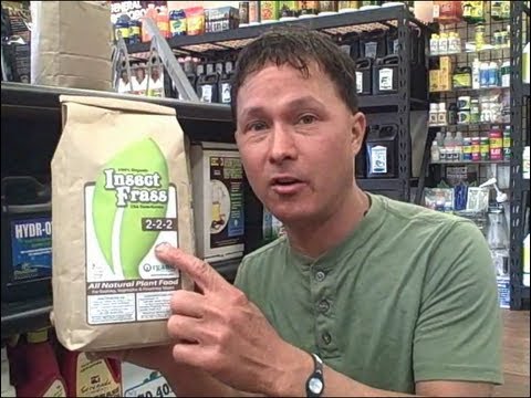 Best Products at a Hydroponic Store for Explosive Plant Growth Best Products at a Hydroponic Store for Explosive Plant Growth