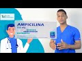 ampicillin what is it for dosage and how is it taken 💊 treat infections