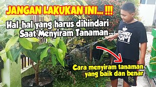 Cara Menyiram Tanaman Yang Benar || Hal-hal Yang Tidak Boleh Dilakukan Saat Menyiram Tanaman