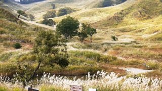 砥峰高原～峰山高原をトレッキング