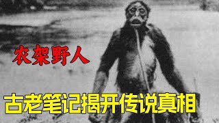 神農架野人身份曝光？古老筆記帶你揭開傳說真相【猫猪神叨叨】