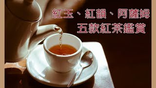 5款日月潭紅茶試飲分享｜２款台灣山茶、紅玉、紅韻、阿薩姆