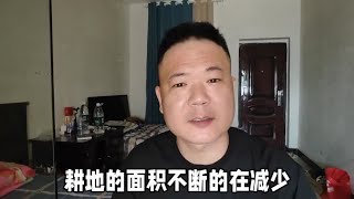 百思不得其解，耕地面积不断减少，粮食产量又在丰收。