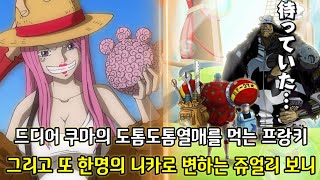 [원피스 분석] 드디어 쿠마의 도톰도톰열매를 먹는 프랑키 그리고 또 한명의 니카로 변하는 쥬얼리 보니