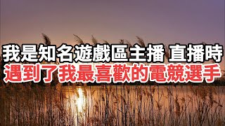 我是知名遊戲區主播,直播時,遇到了我最喜歡的電競選手.#一口气看完 #故事 #小说