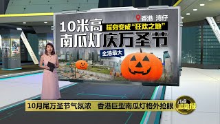 香港湾仔成万圣节狂欢之地   巨型南瓜灯格外抢眼 | 八点最热报 28/10/2021