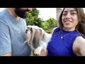 vlog final de semana em pirenÓpolis hospedagem restaurantes e passeios viajando com pet