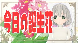 【花言葉】１２月２３日の誕生花は？／花白もか