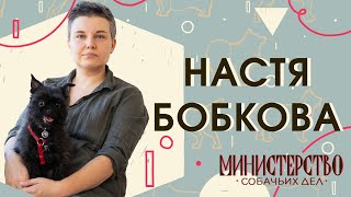 Настя Бобкова: приемные собаки, переустройство и воспитание