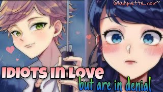 Idiots in Love but are in denial || One-Shot || Miraculous Texting Story ||Adrienette Fanfictions