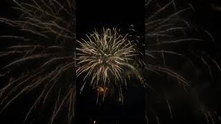 岩井海岸花火　fireworks  #shorts