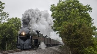 NS 956 Steam Train - Inlet