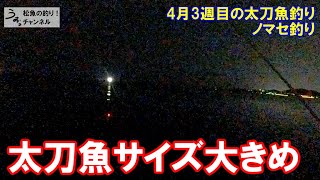 ＭＣ太刀魚に再挑戦！ＳＫ太刀魚の状況調査釣行。4月3週目の太刀魚釣りとノマセ釣り。