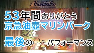 【永久保存版】京急油壺マリンパーク イルカ・アシカのパフォーマンス