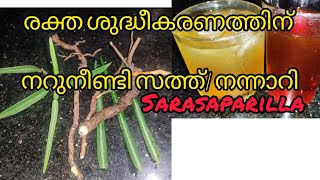 രക്ത ശുദ്ധീകരണത്തിന് നറുനീണ്ടി സത്ത്/ നന്നാറി |Nannari roots relief from constipation, and acidity, 