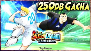 250db GACHA SDC ISHIZAKI \u0026 NAPOLEON 🔥 CAPTAIN TSUBASA DREAM TEAM