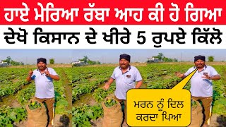 ਹਾਏ ਮੇਰਿਆ ਰੱਬਾ ਆਹ ਕੀ ਹੋ ਗਿਆ Punjab ਦੇ ਕਿਸਾਨ ਨਾਲ 🔴 VIDEO