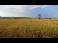The Cradle of Humankind | National Geographic