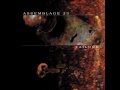 assemblage 23 house on fire lyrics