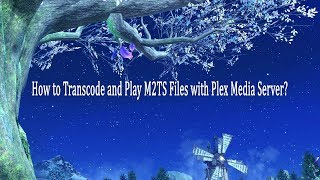 How to Transcode and Play M2TS Files with Plex Media Server?