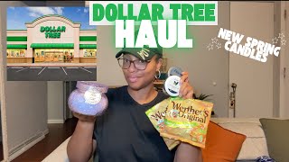 Brand NEW!! Dollar Tree haul